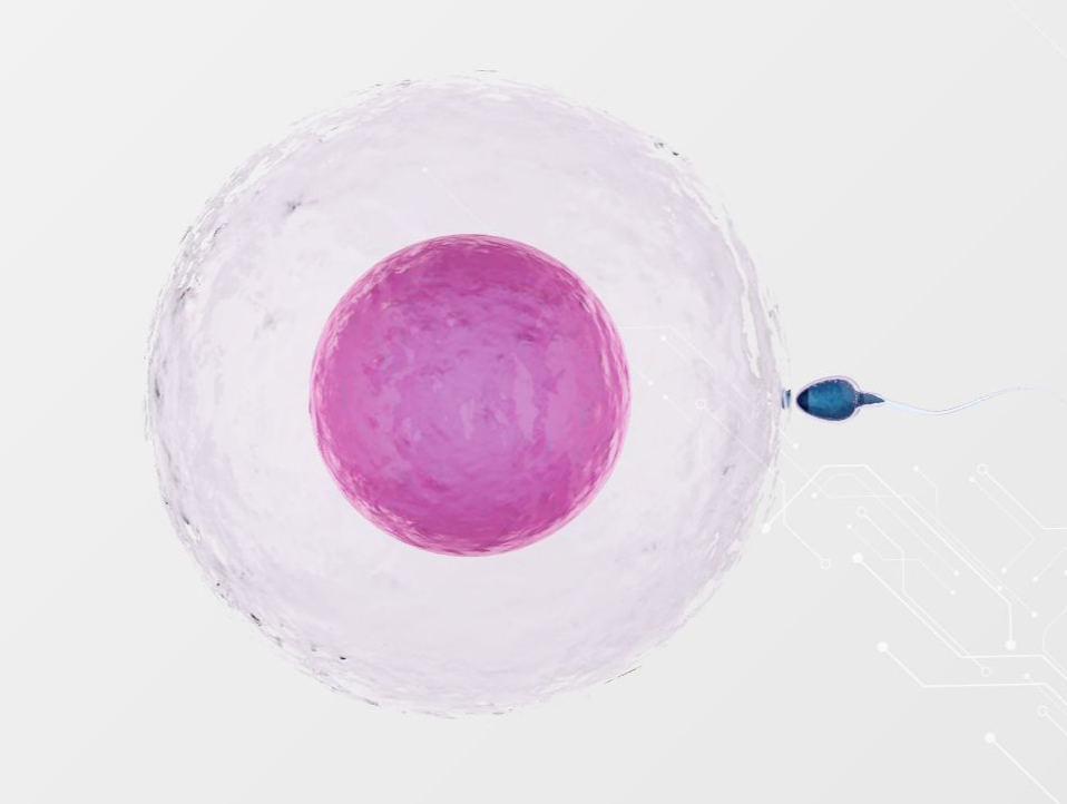 semen quality analyzer