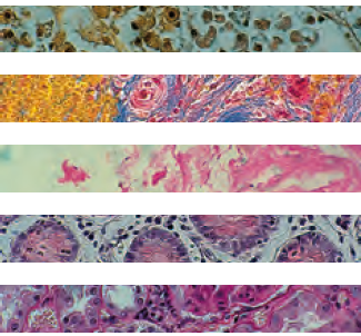 Cytology