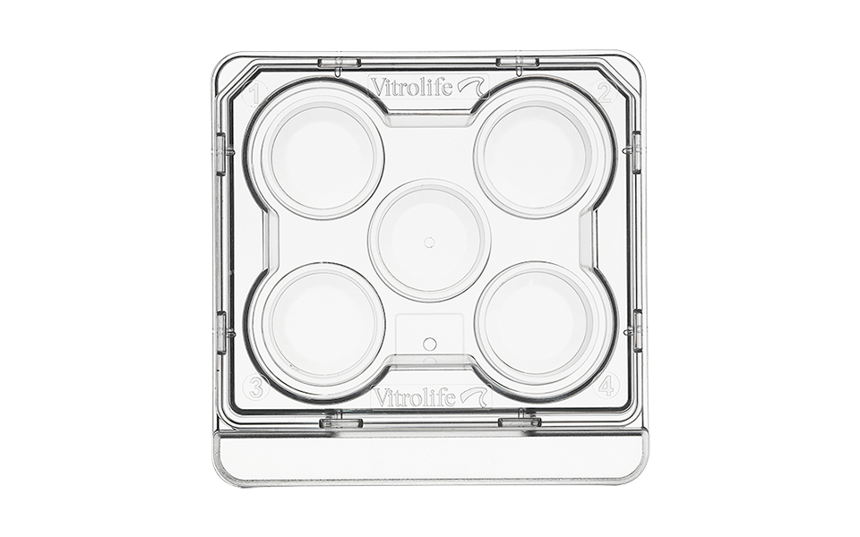 Embryo Culture Dish (1)